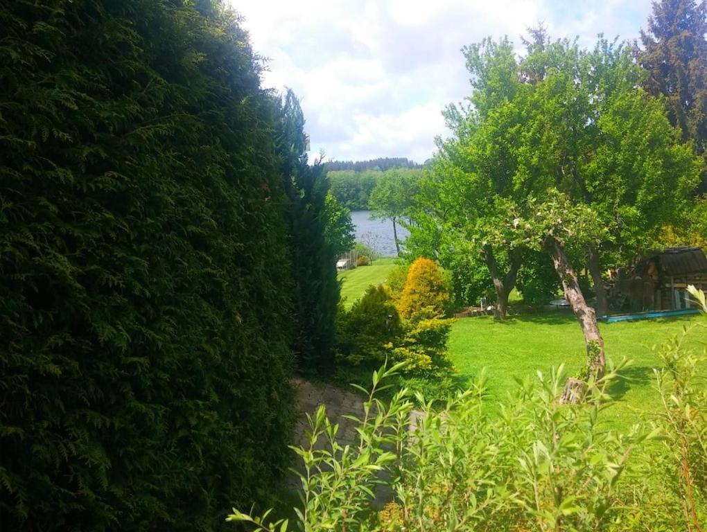 Studio Na Plazi Frymburk nad Vltavou Exterior foto